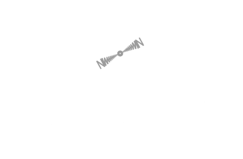 Ozelys Logo