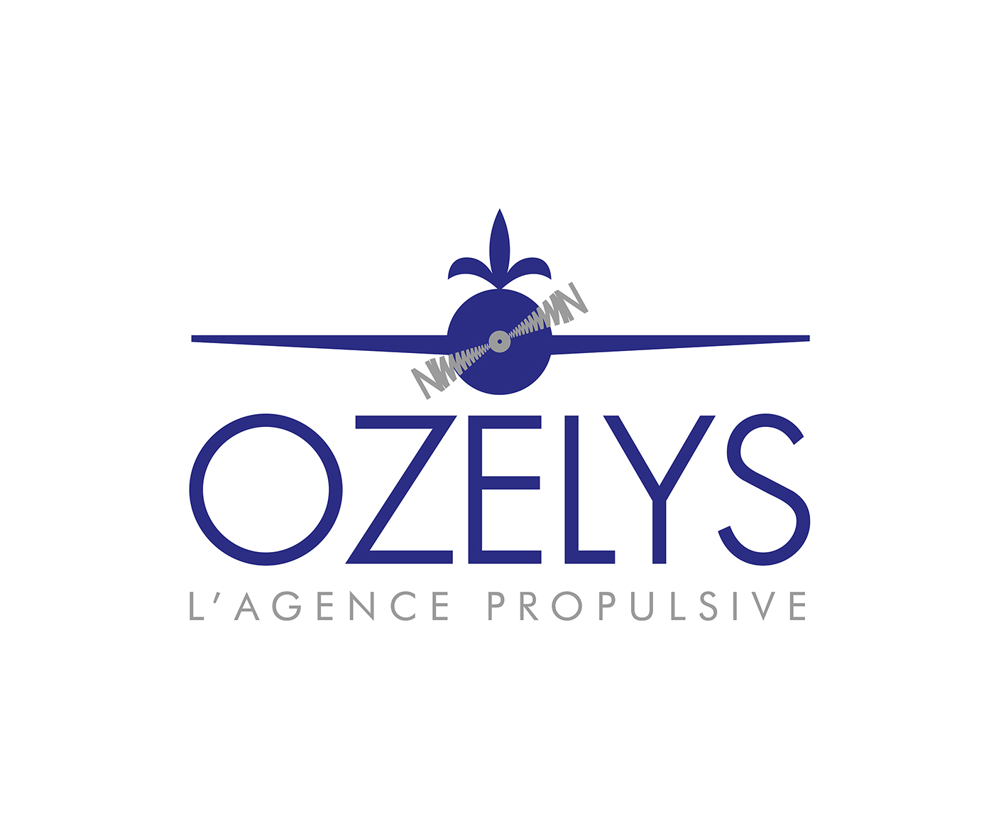 ozelys-logo-baseline-fr-rvb-reduit-623c53b311727630483308.jpg